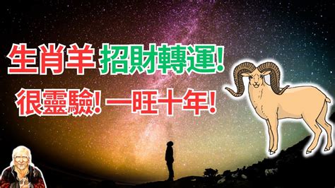 屬羊10年運勢|屬羊人2024年總運勢，屬羊人的愛情，事業運勢，屬羊人2024年。